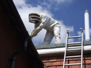 Wasp Nest Removal